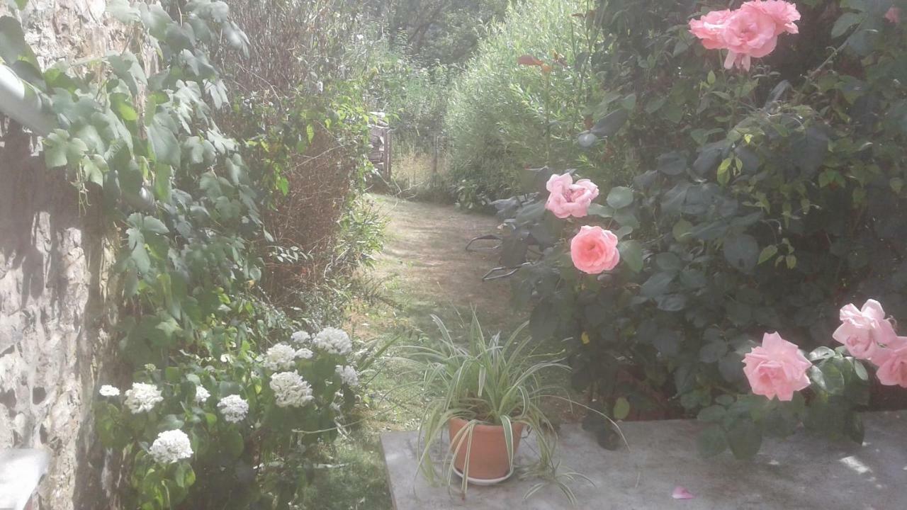 La Truite Joyeuse Βίλα Saint-Hubert Εξωτερικό φωτογραφία